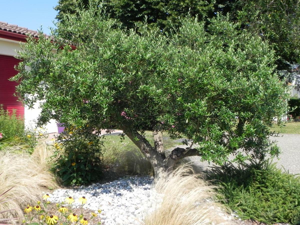 La Cle De Vos Reves Bed & Breakfast Orthevielle Eksteriør bilde